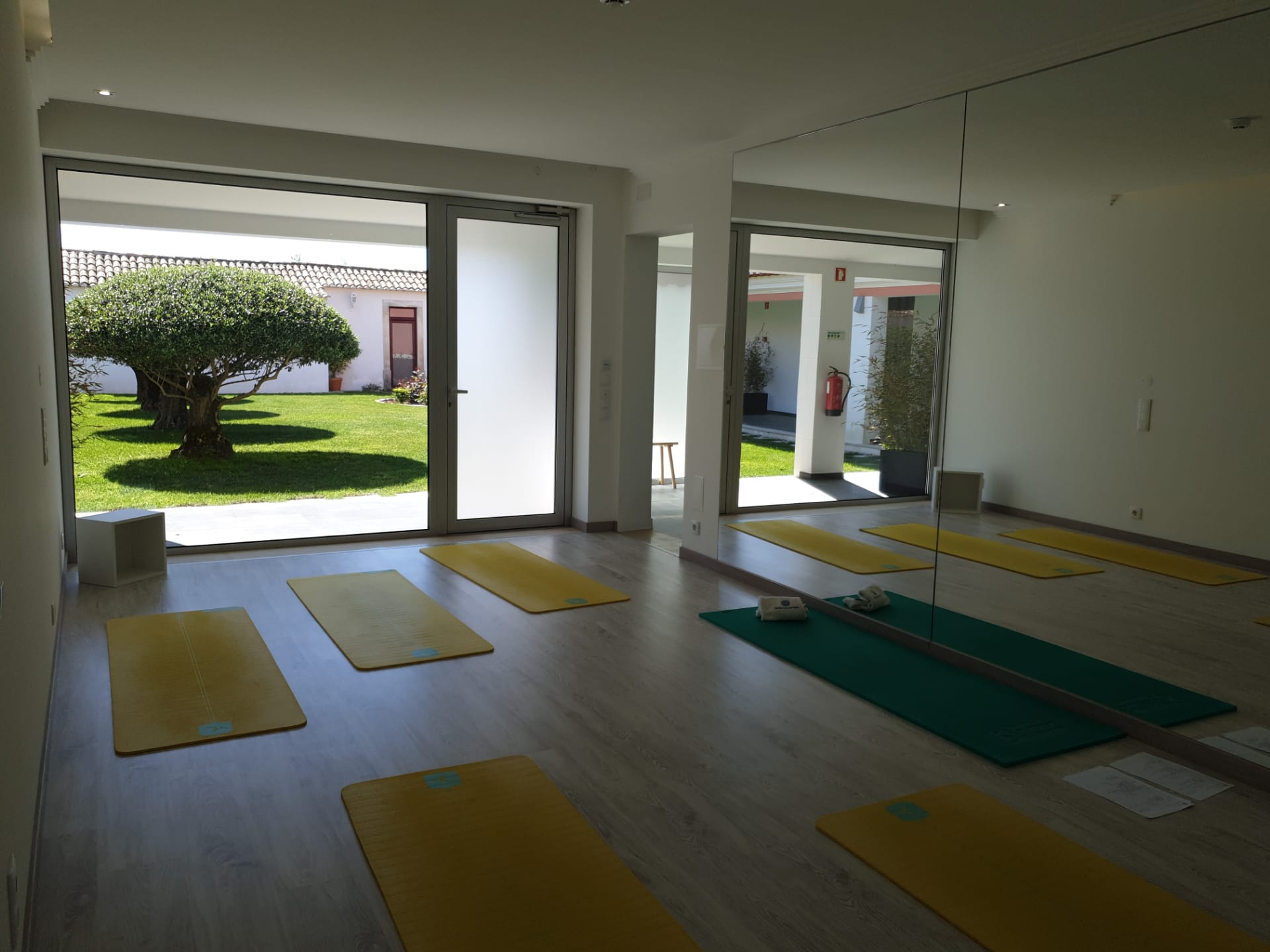 WhatsApp Image 2020-07-16 at 08.40.40 (1)